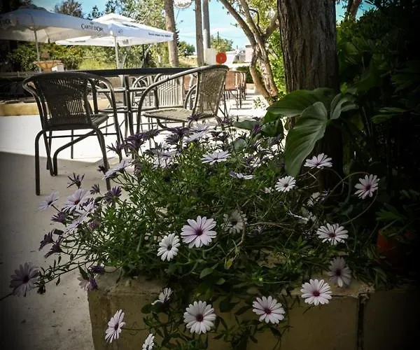 Pensionat Nymph Sálakos