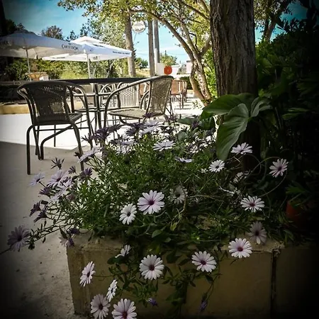 Pensionat Nymph Sálakos